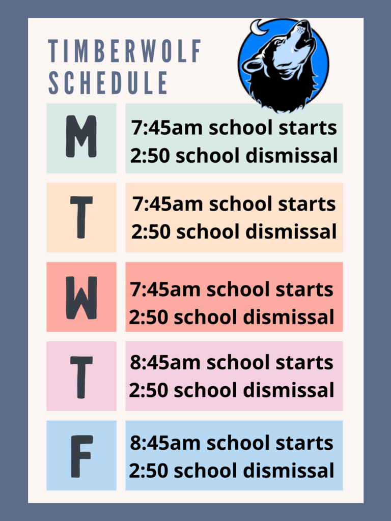 Pastel colorful Class Schedule Poster 3